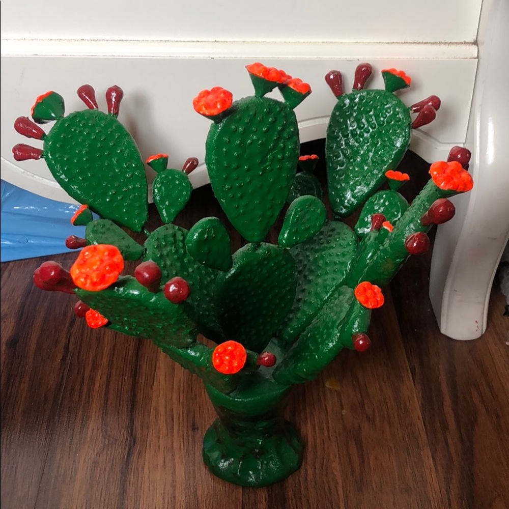 Mexican Nopal 🌵❤️